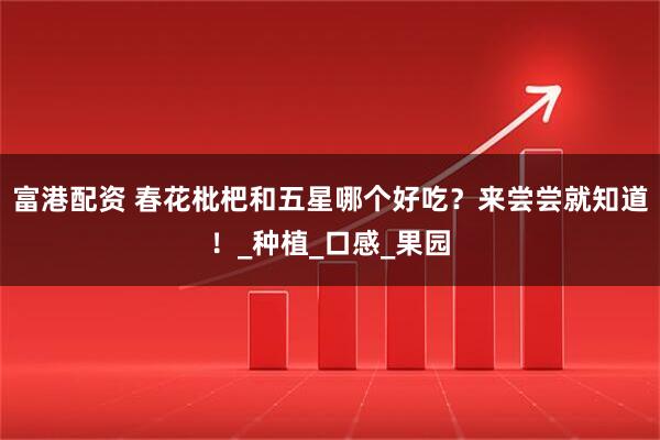 富港配资 春花枇杷和五星哪个好吃？来尝尝就知道！_种植_口感_果园