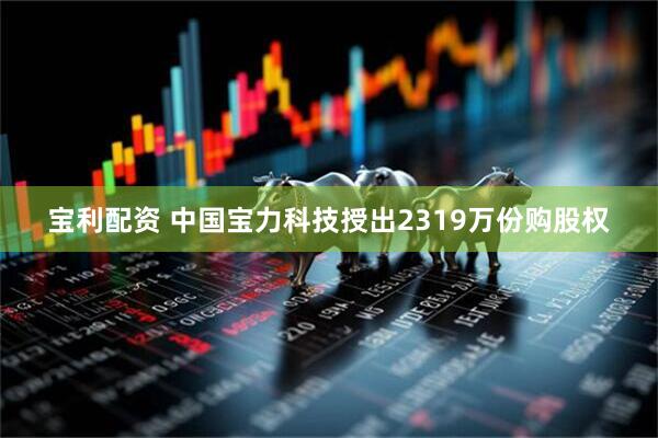 宝利配资 中国宝力科技授出2319万份购股权